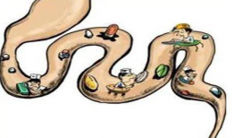 黄煌经方讲座视频,深入浅出中医经典方剂解析